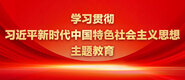 操小骚穴视频在线观看视频学习贯彻习近平新时代中国特色社会主义思想主题教育_fororder_ad-371X160(2)